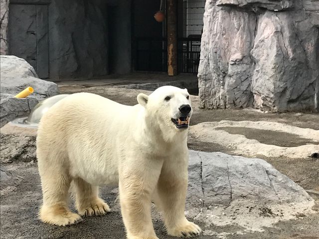 �����܂���_���R������