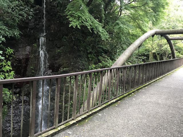 橋_万葉公園（神奈川県湯河原町）
