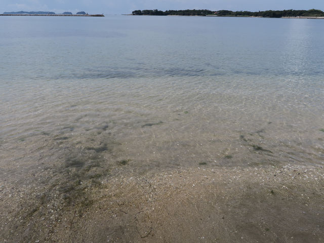 ��Y�C������@�X��_��Y�C������