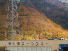 ܂񂳂̒Jxbz by 샊][gւ̓eʐ^1