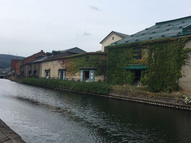 �q�ɌQ_�^�͂ƐΑ��q�ɌQ