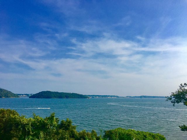 �l����_�l���΃T�[�r�X�G���A