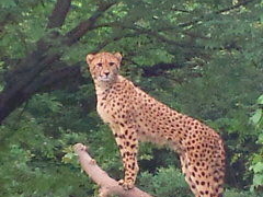 �����s�������������̎ʐ^1