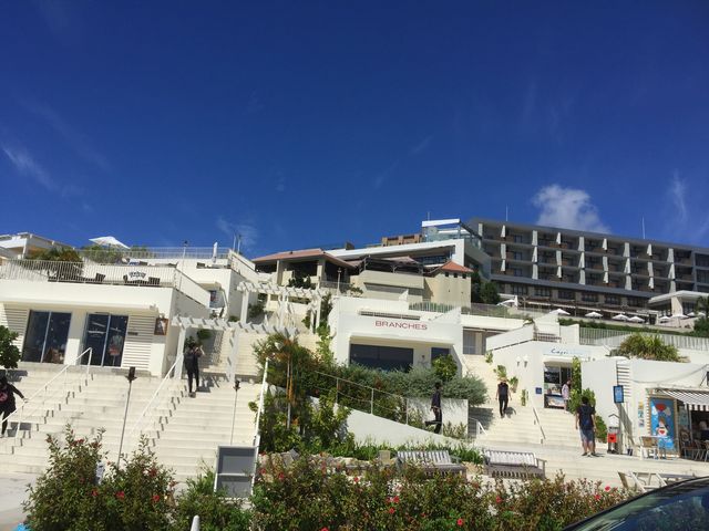 �Ԃ͓��ɘH�����Ă���l�����������܂����B_�������E�~�J�W�e���X