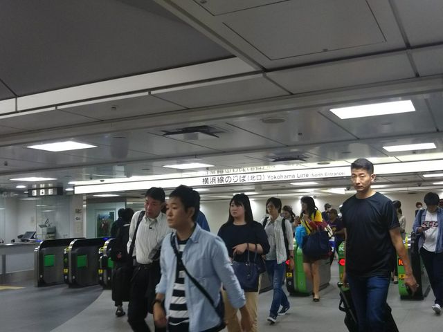 �V���l�w�k���̉��l���̉��D���ł��B_�i�q�V���l�w