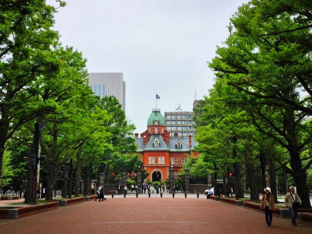 �Ԃ�񂪃e���X�̂������A���߂Ă̎D�y���ł͐���K�ꂽ���ꏊ_�k�C�������{����(�Ԃ�񂪒���)