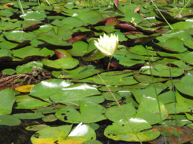 񂳂ٍ̕V̒riٓVrj̓eʐ^3