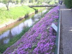 Ƃ񂳂̏ac͔Ȏōւ̓eʐ^1