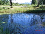 񂳂ٍ̕V̒riٓVrj̓eʐ^5