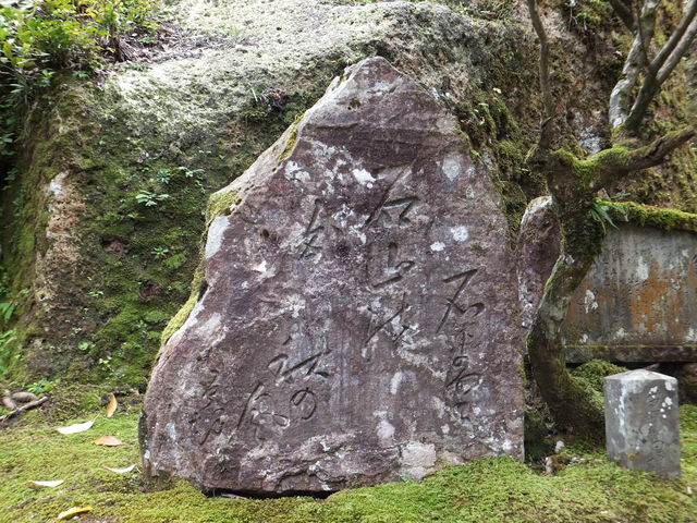 ڂ炳̔mԂ̋@ߒJ̓eʐ^1