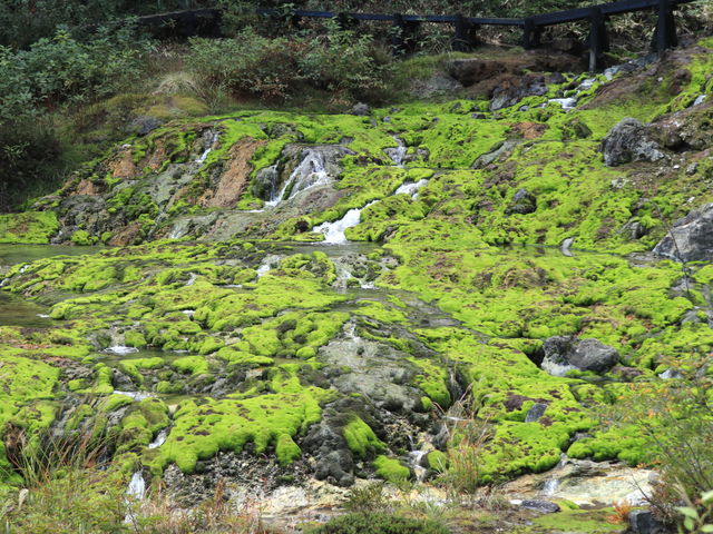 �`���c�{�~�S�P�����E���n��_�`���c�{�~�S�P����