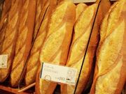 Ȃ̃hN ߓSSݓXX̓eʐ^1