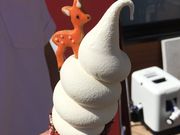 ̃JtF GgWFEibh CAFE ETRANGER NARAD̓eʐ^1