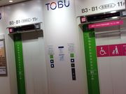 Ё[񂳂̓SݓX@rܓX̓eʐ^1