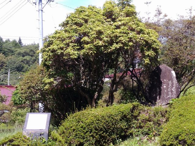 富士見公園歌碑群】アクセス・営業時間・料金情報 - じゃらんnet
