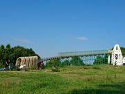 ς񂳂̊C삱ǂ̍̓eʐ^1