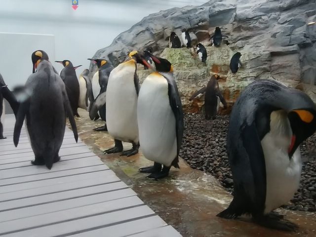 �y���M��_���R������