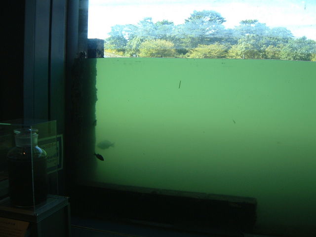 ��_������