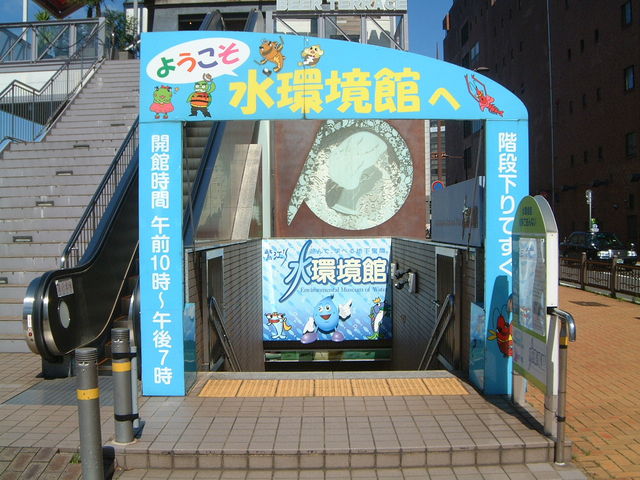 ����_������