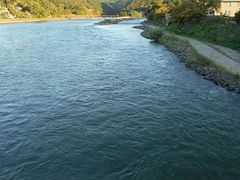 �X�}�C������̉F����i��ނ�j�ւ̓��e�ʐ^1