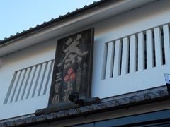 �X�}�C������̎O���� ��юO�� �{�X�ւ̓��e�ʐ^1