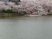 VEH܂܂̌K隬i،j̓eʐ^1