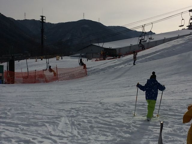 1y߂܂BNsłB_JC݂XL[