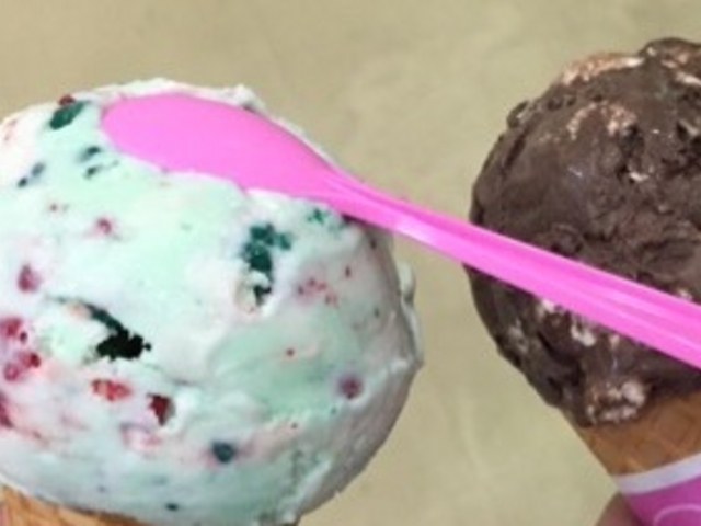 T[eBACXN[_T[eBACXN[ O{t[[hX