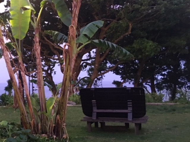 [ꎞ̃K[fB_ɓlo[xL[K[f