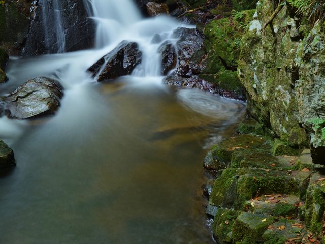 ��ڂ̗���_���k�J