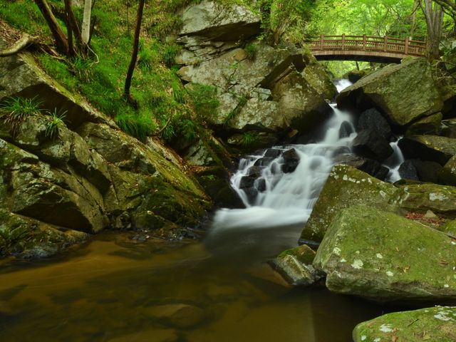 ��̊���ڂ���̗���_���k�J