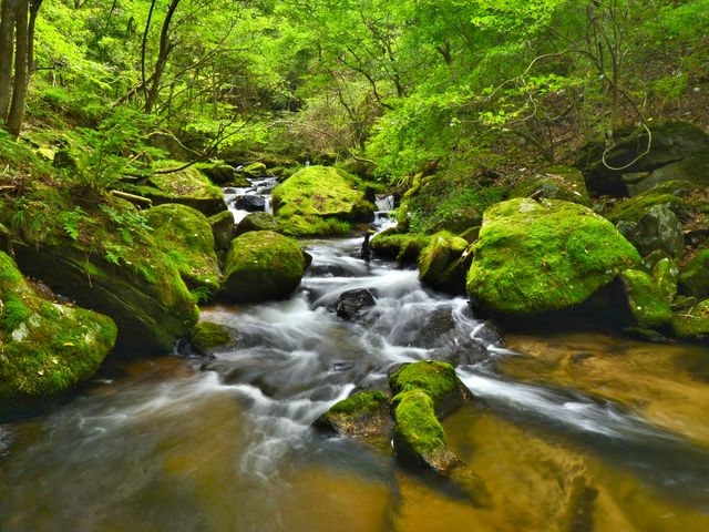 �ۂނ�����Ɨ���_���k�J