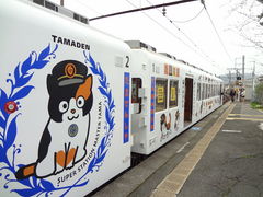 Ђ낳̋Muwi܃~[WA jւ̓eʐ^3