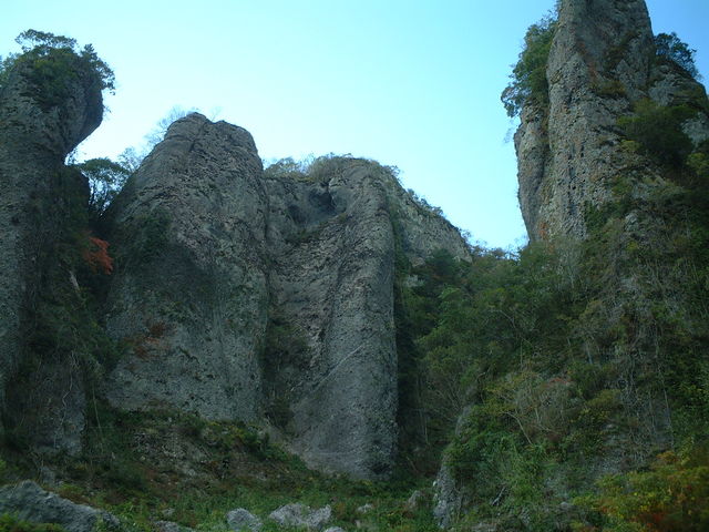 �ʐ^�ł͓`���Ȃ��傫��_��̊�