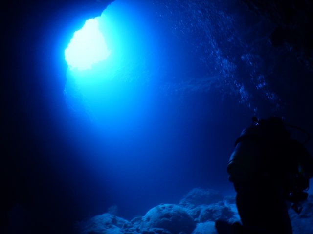 {ÎO|Cg1Őe܂B
_}nEXJiA