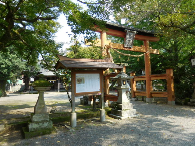 �S�i_��h�_��