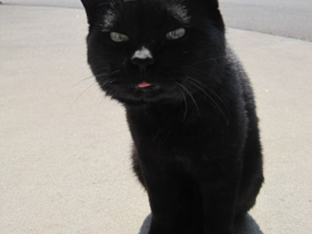 micky7777̓̉w V˂񂾂s̓eʐ^4