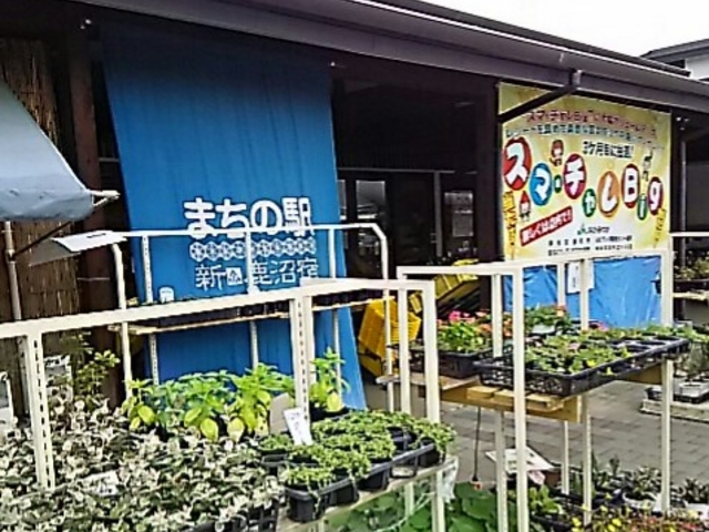 �܂��̉w_�܂��̉w �V�����h