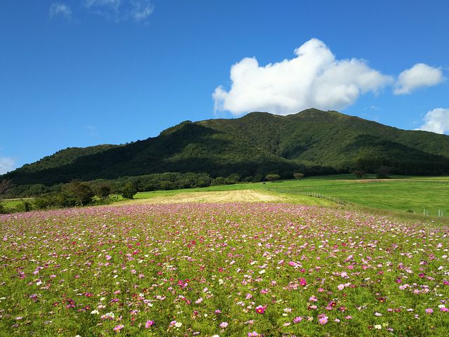 W[W[h̃RXX_fR__Ђ邺W[W[h