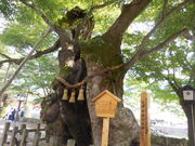 LOTTY̖h_Ђ̃PL̓eʐ^1