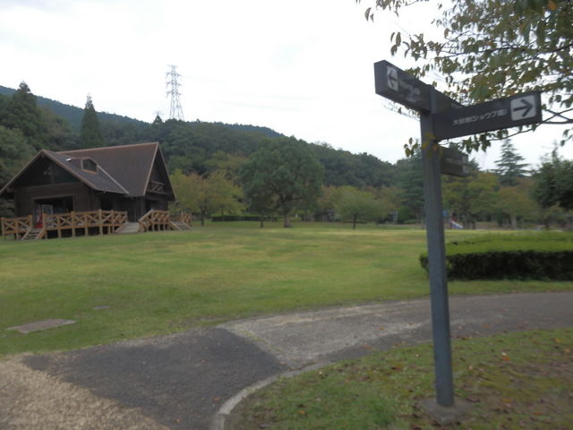 O[sA̎ŐL_ssΉA(O[sAt)