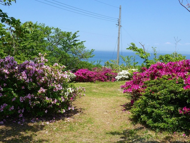 �W�֗V���E���Ղ�_�������R