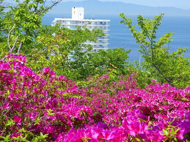 �W�֗V���E���Ղ�_�������R