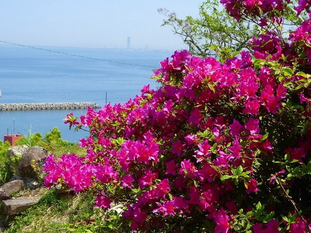 �W�֗V���E���Ղ�_�������R