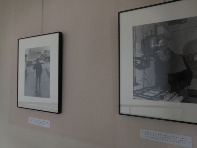 LOTTY̌Kjʐ^pق̓eʐ^1