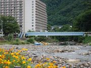 ݂Ȃ肿񂳂̐̓eʐ^1