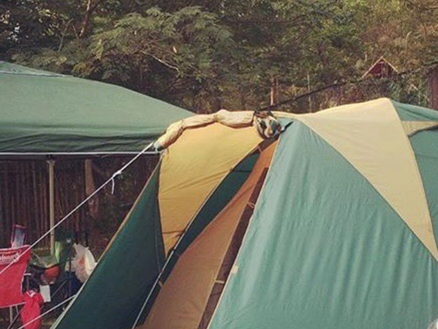 񂿂񂳂̔\LvWE̓eʐ^1