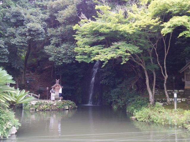 EɓV{AɋT̔̑AVɓV_ЁB_k