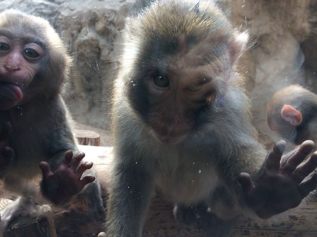 ���R�̒ʘH�́A�K���X��������A�q�����K���X���r�߂Ȃ���W�܂��Ă�̂ŋߋ����Ō���邱�Ƃ������ł��B_���R������