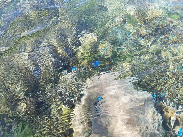 �C���{���ɂ��ꂢ�ł����I_�����}�������W���[